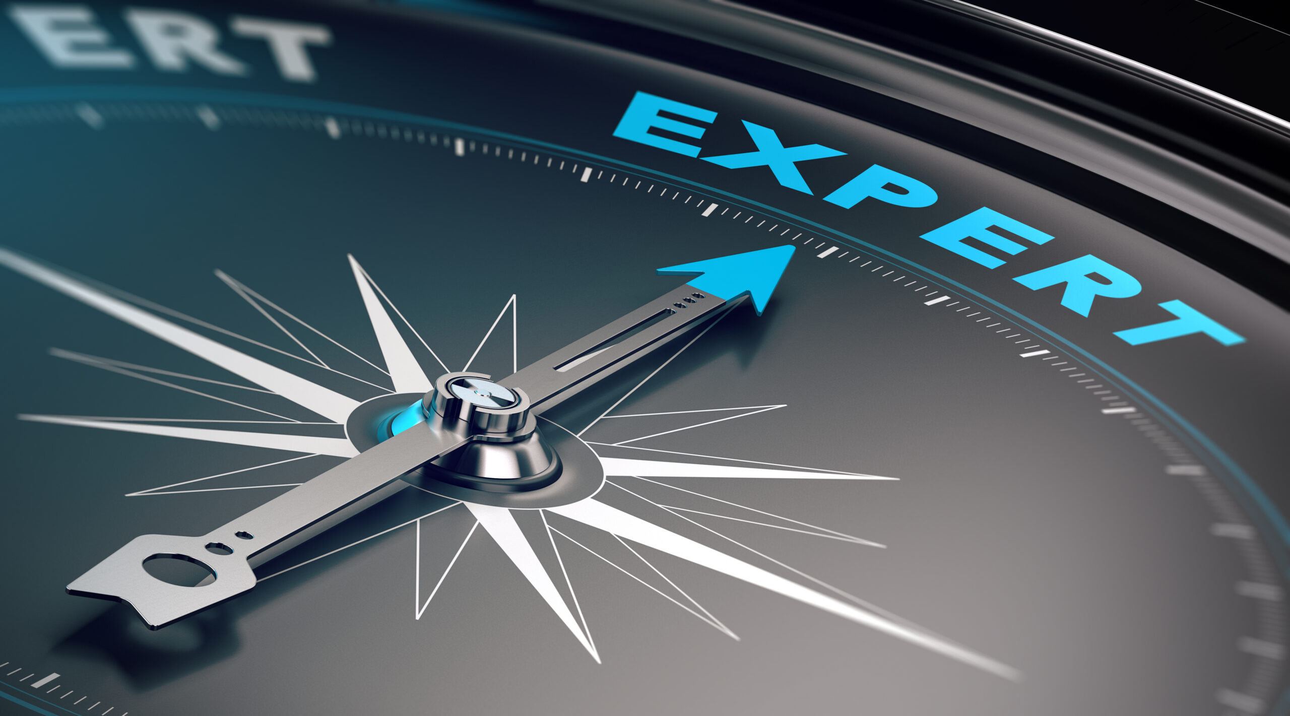 Expertise in Talent Pool Management for primlogix.com